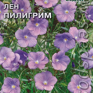 Лен Пилигрим, 0,1 г