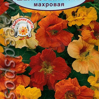 Настурция махровая компактная Шелковый путь, Смесь окрасок, 30см, 1 г Аэлита