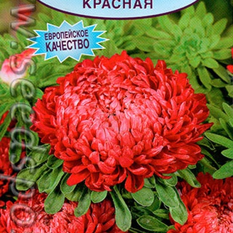 Астра Букетная Красная, 0,2 г (Аэ)