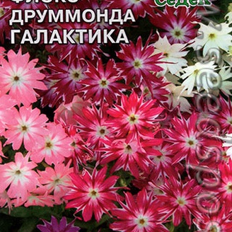 Флокс Друммонда Галактика, Смесь, 0,25 г