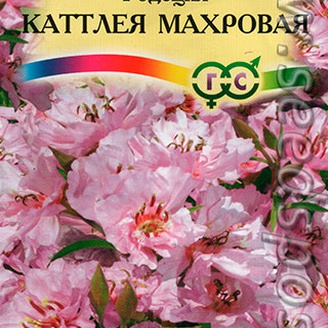 Годеция Каттлея махровая, розовая, Н40см, однолетник, 0,1 г