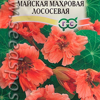 Настурция майская махровая Лососевая, 1 г