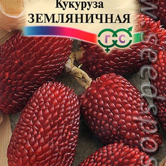 Кукуруза Земляничная, 15 шт.