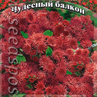 Агератум Калинка, 0,1 г Чудесный балкон