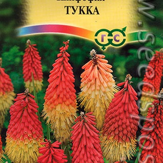 Книфофия Тукка, 0,1 г