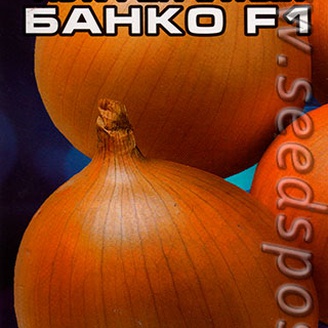 Лук репчатый Банко F1, 1 г