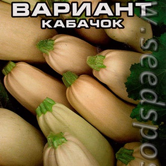 Кабачок Северный вариант, 5 шт.