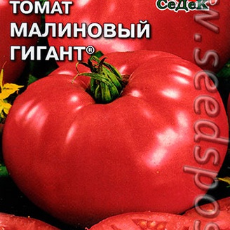 Томат Малиновый гигант®, 0,1 г