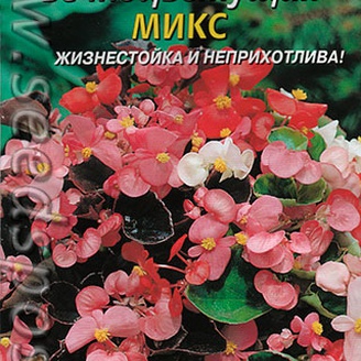 Бегония вечноцветущая Микс F1, 10 драже