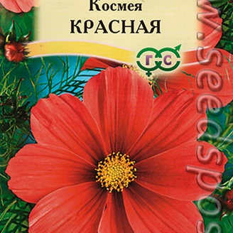 Космея Красная, 0,3 г