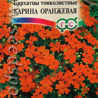 Бархатцы тонколистные Карина Оранжевая, однолетник, 0,05 г