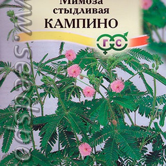 Мимоза стыдливая Кампино, 0,1 г