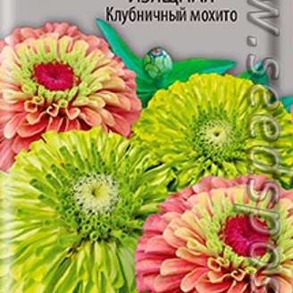 Цинния изящная Клубничный мохито, Смесь, 10 шт.