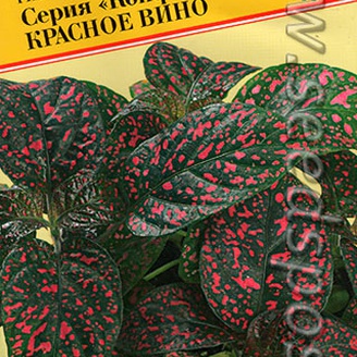 Гипоэстес Конфетти Красное вино, 10 шт.