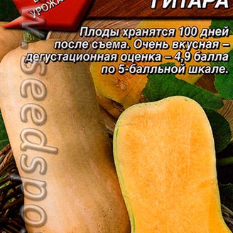 Тыква мускатная Гитара ®, 1 г