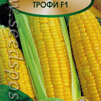 Кукуруза сахарная Трофи F1, 10 шт. Лидеры мировой селекции