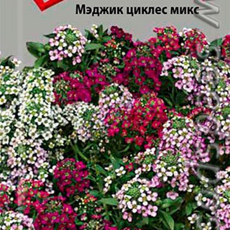 Алиссум Мэджик Циклес Микс, 0,1 г