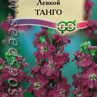 Левкой (Маттиола седая) Танго, 0,1 г Сад ароматов