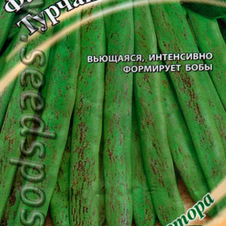 Фасоль спаржевая Турчанка, 10 шт. Семена от автора