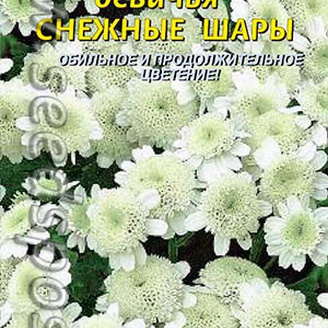 Хризантема девичья Снежные шары, 0,1 г