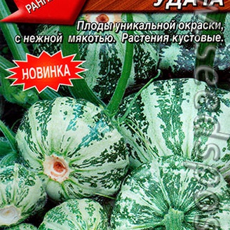 Патиссон Большая удача, 1 г