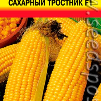 Кукуруза Сахарный тростник F1, 1 г Premium Selection