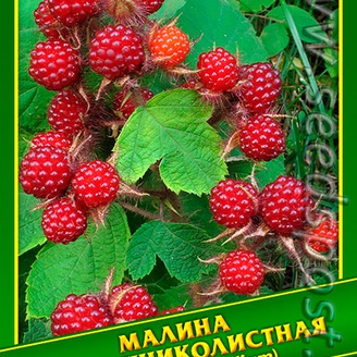 Малина Боярышниколистная, 0,1 г (≈ 25 шт.)  