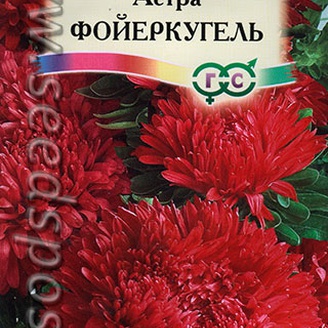 Астра карликовая Фойеркугель, 0,3 г