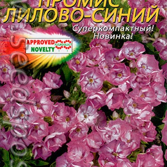 Флокс махровый Промис Лилово-синий, 5 шт.