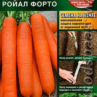 Морковь Ройал Форто (на ленте), 8 м