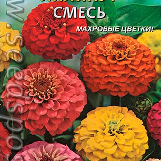 Цинния Лилипут, Смесь, 0,4 г