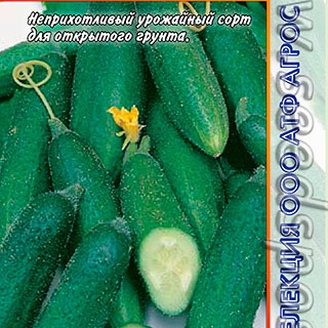 Огурец Новосибирский, 10 шт. Селекция Агрос