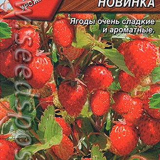 Земляника альпийская Новинка, 0,05 г