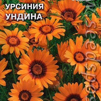 Урсиния укропная Ундина, 0,1 г