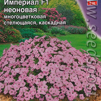 Петуния каскадная крупноцветковая Империал Неоновая F1, 7 шт. 