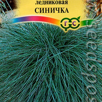 Овсяница ледниковая Синичка, 0,1 г