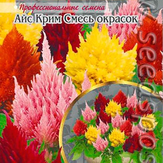 Целозия перистая Айс Крим Смесь окрасок, 10 шт. PanAmerican Seeds Профессиональные семена