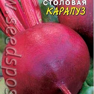 Свекла Карапуз, 2 г