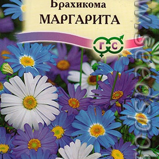 Брахикома иберисолистная Маргарита, Смесь, 0,05 г