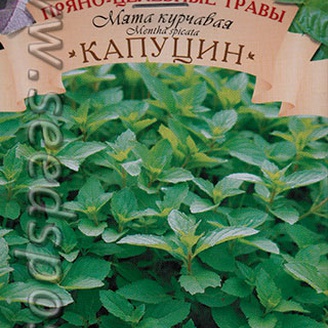 Мята курчавая Капуцин, 0,1 г