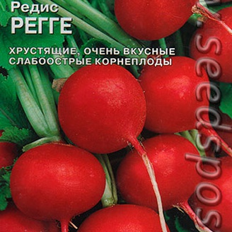 Редис Регге, 1 г  (Bejo Zaden)