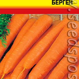 Морковь Берген, 1 г Голландская серия