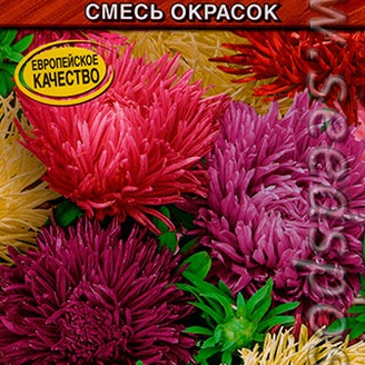 Астра Гала, Смесь окрасок, 0,04 г