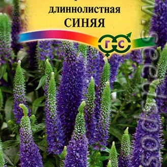 Вероника длиннолистная Синяя, 0,05 г