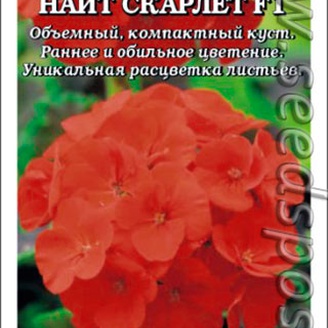 Пеларгония Найт Скарлет F1, 3 шт.