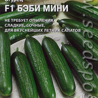 Огурец Бэби Мини F1, 5 шт. Seminis