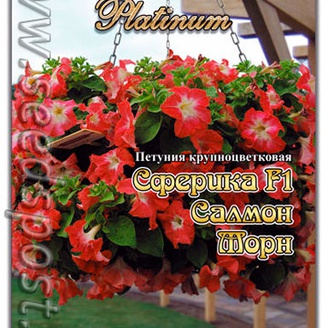 Петуния крупноцветковая Сферика Салмон Морн F1, 20 шт. Platinum