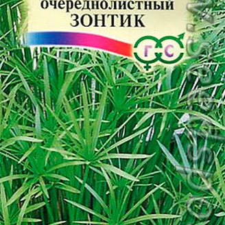 Циперус очереднолистный Зонтик, 0,05 г