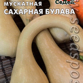 Тыква мускатная Сахарная Булава, 1 г