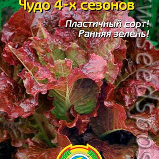 Салат Чудо 4-х сезонов, 0,5 г